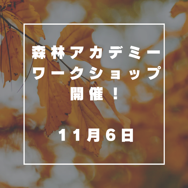 11月6日　岐阜県　森林アカデミーにてWS開催！